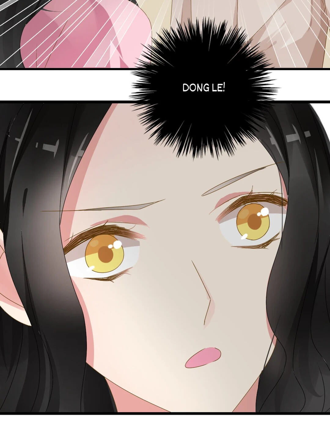 The 