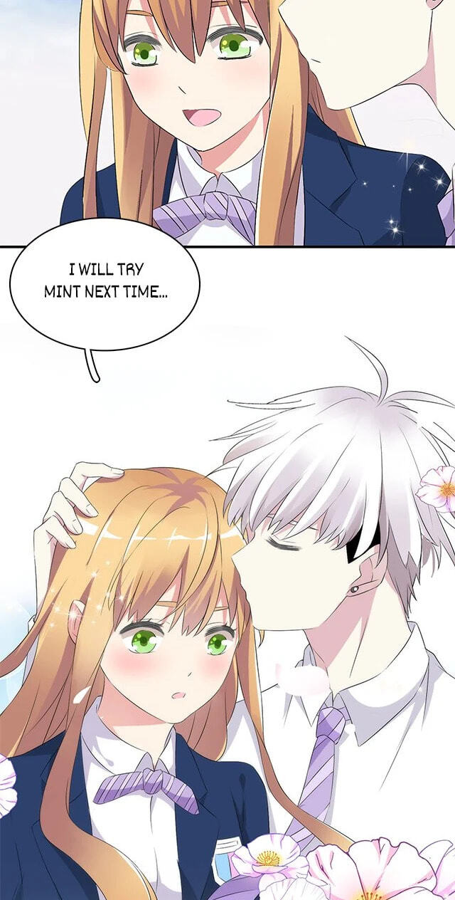 The 