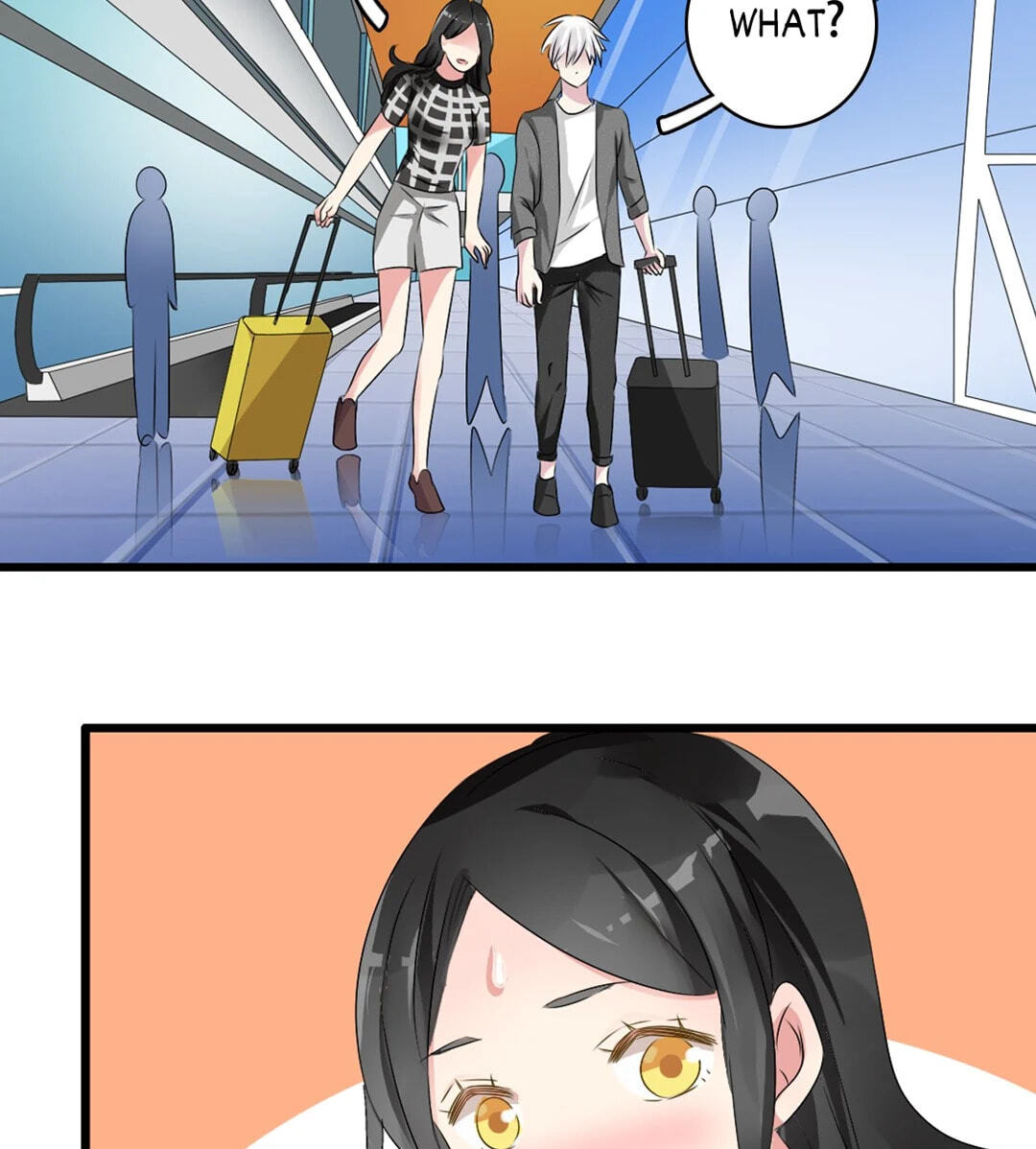 The 