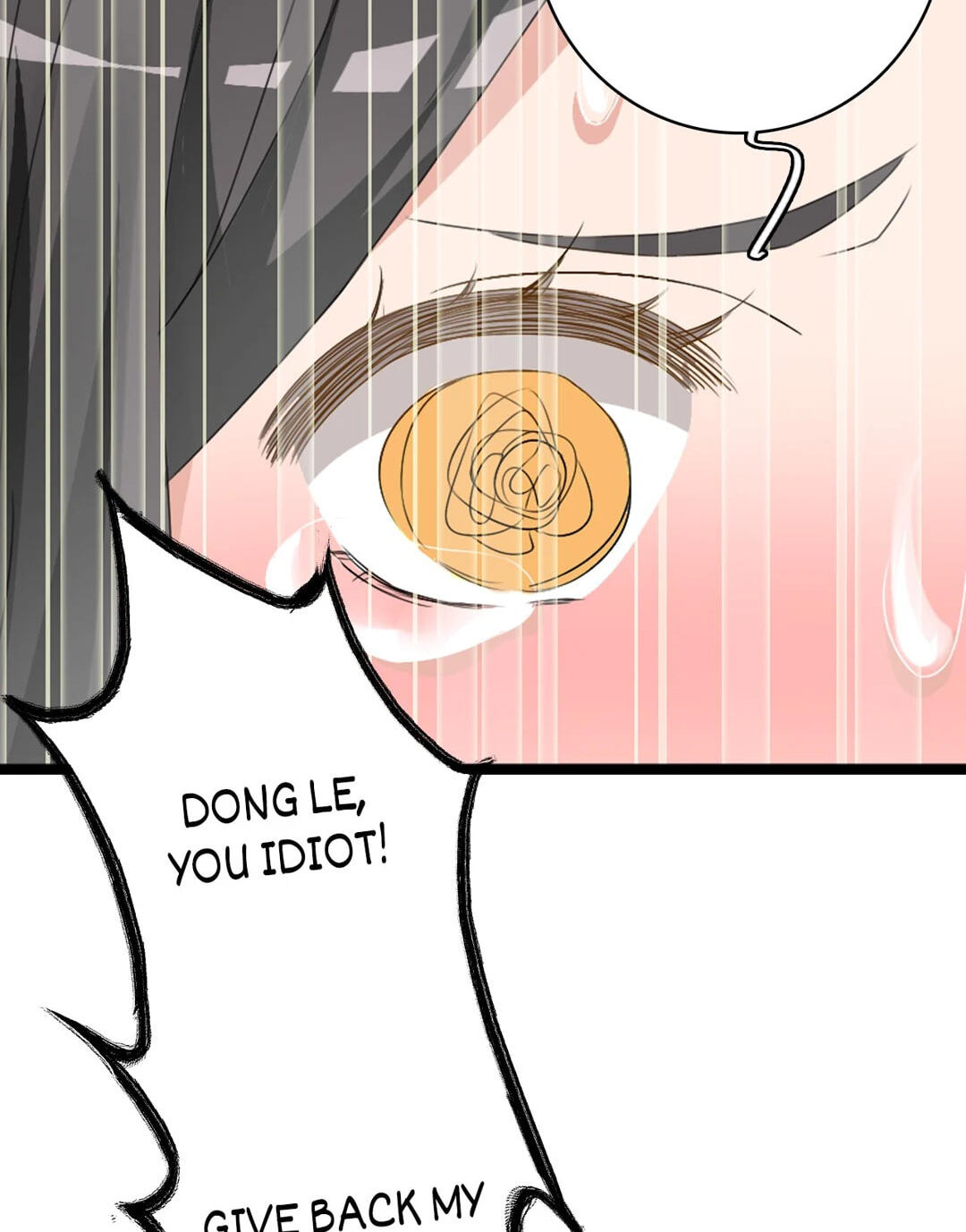 The 
