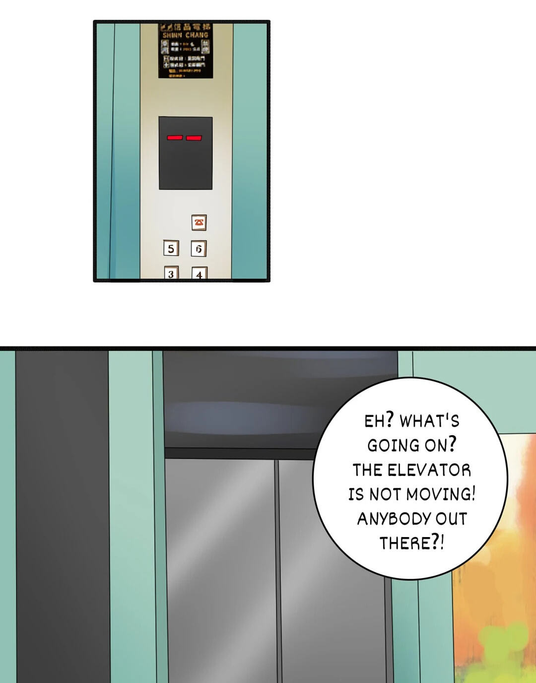 The 