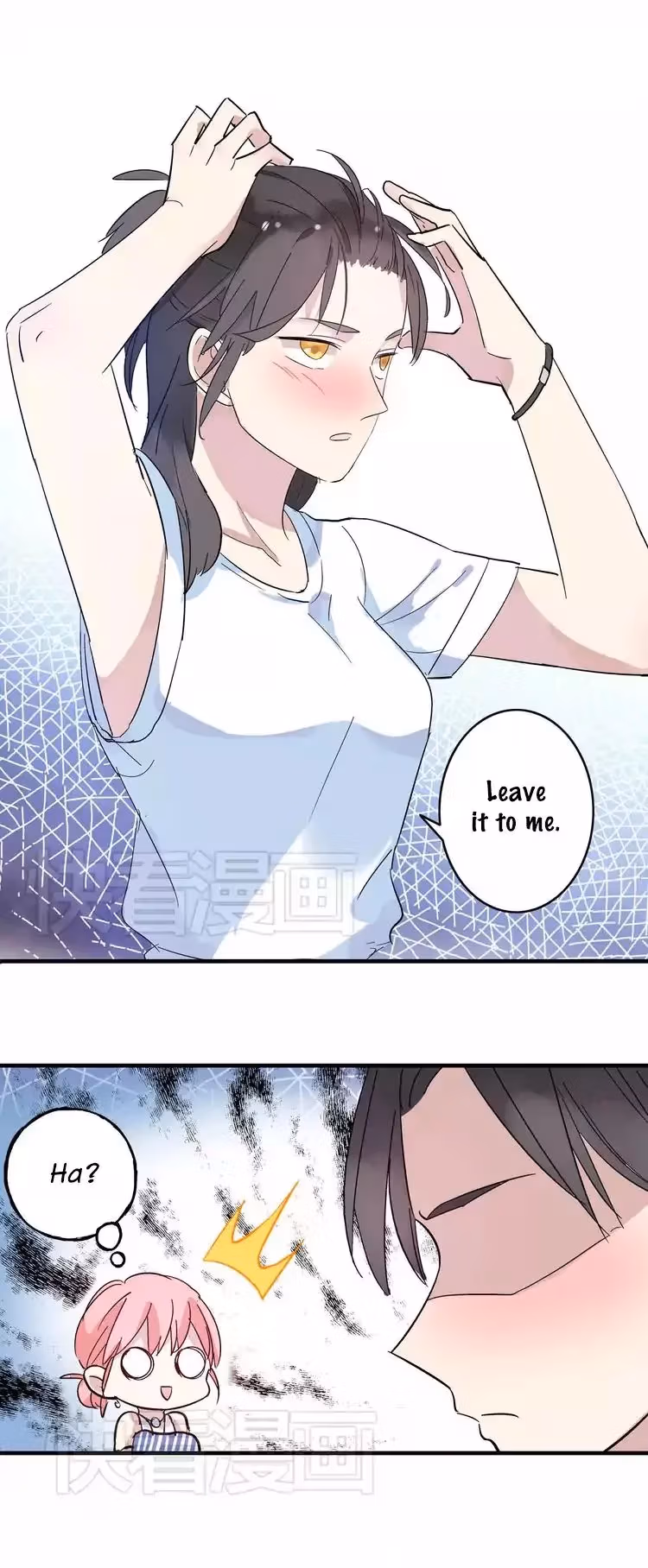 The 