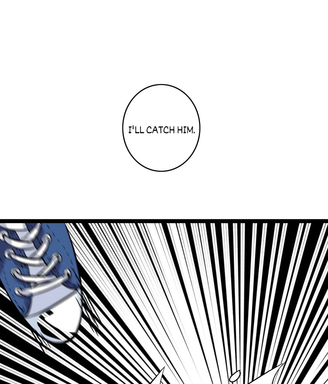 The 