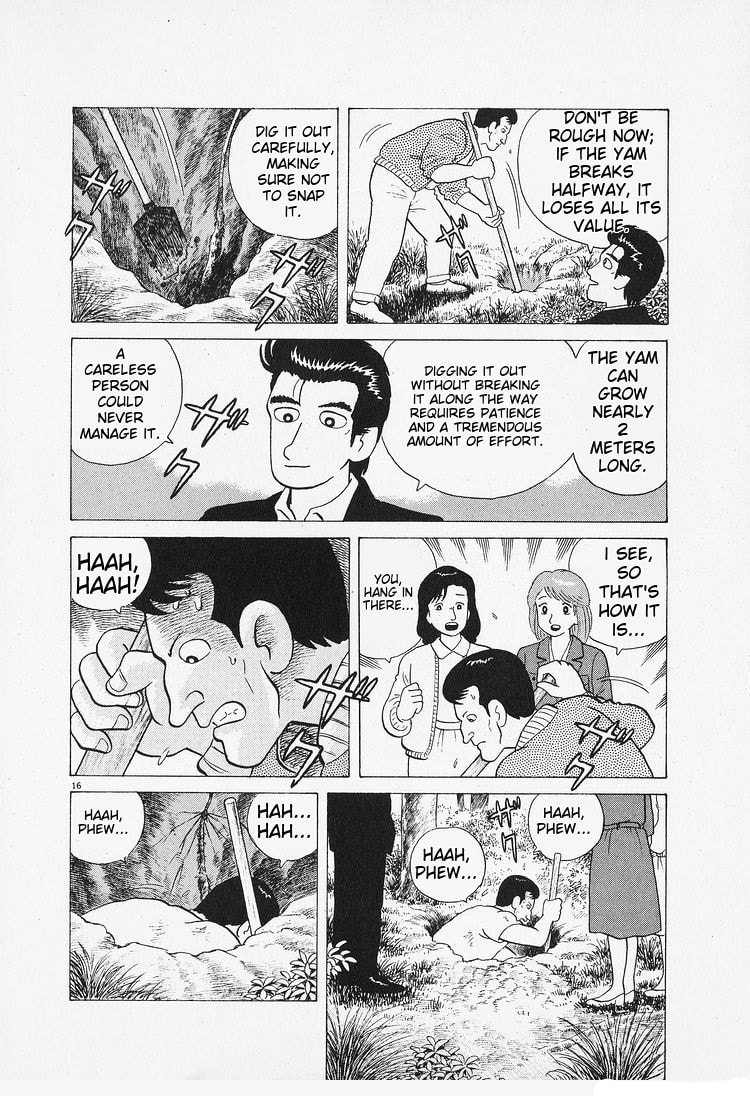 The Gourmet Chapter 87 page 16 - 
