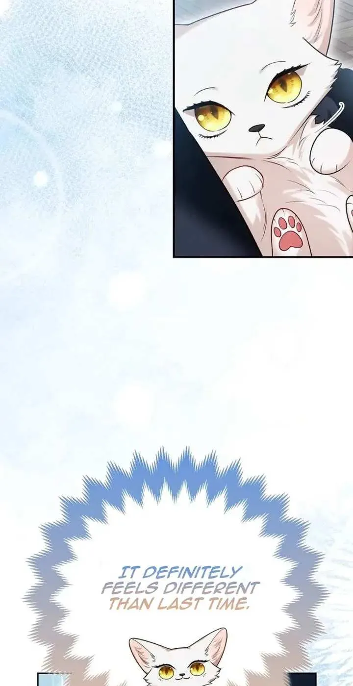 The Grand Duke's Fox Princess Chapter 10 page 27 - 