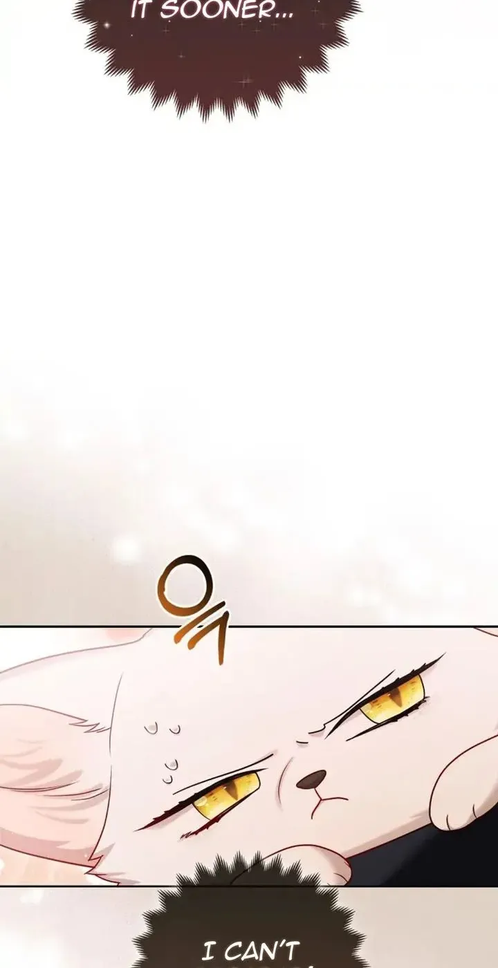 The Grand Duke's Fox Princess Chapter 10 page 32 - 