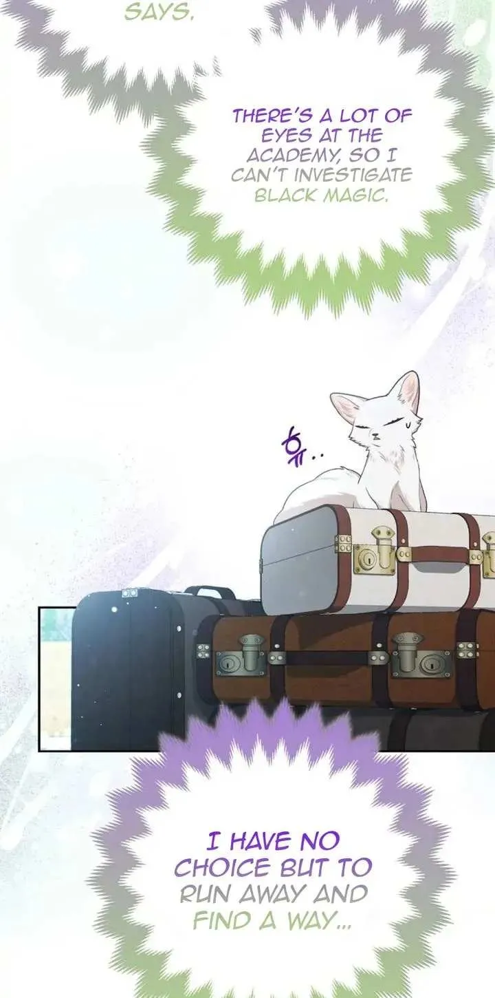 The Grand Duke's Fox Princess Chapter 11 page 17 - 