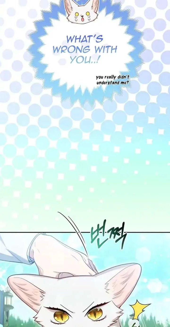 The Grand Duke's Fox Princess Chapter 11 page 27 - 