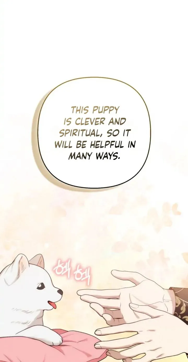 The Grand Duke's Fox Princess Chapter 11 page 33 - 