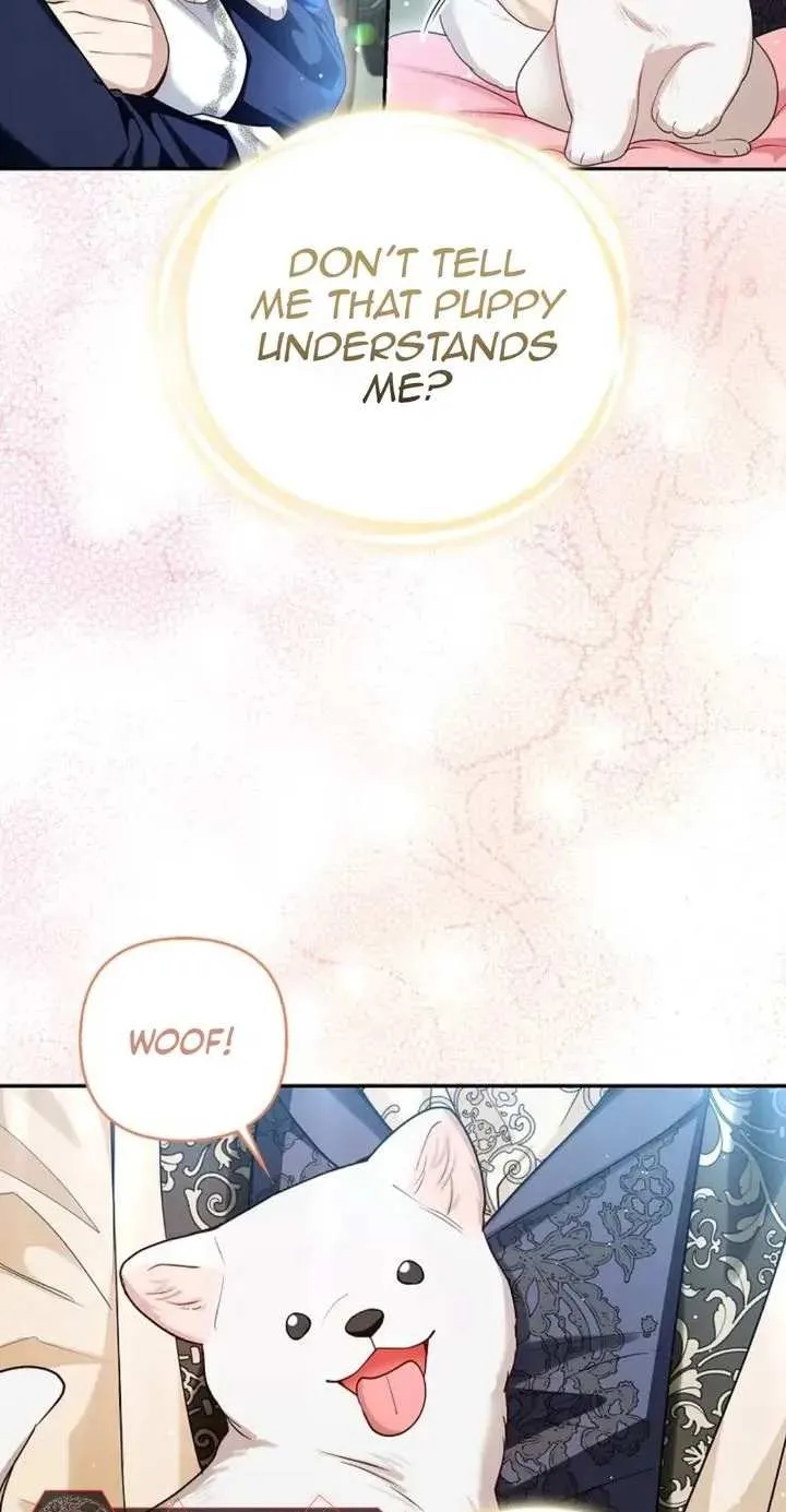 The Grand Duke's Fox Princess Chapter 11 page 38 - 