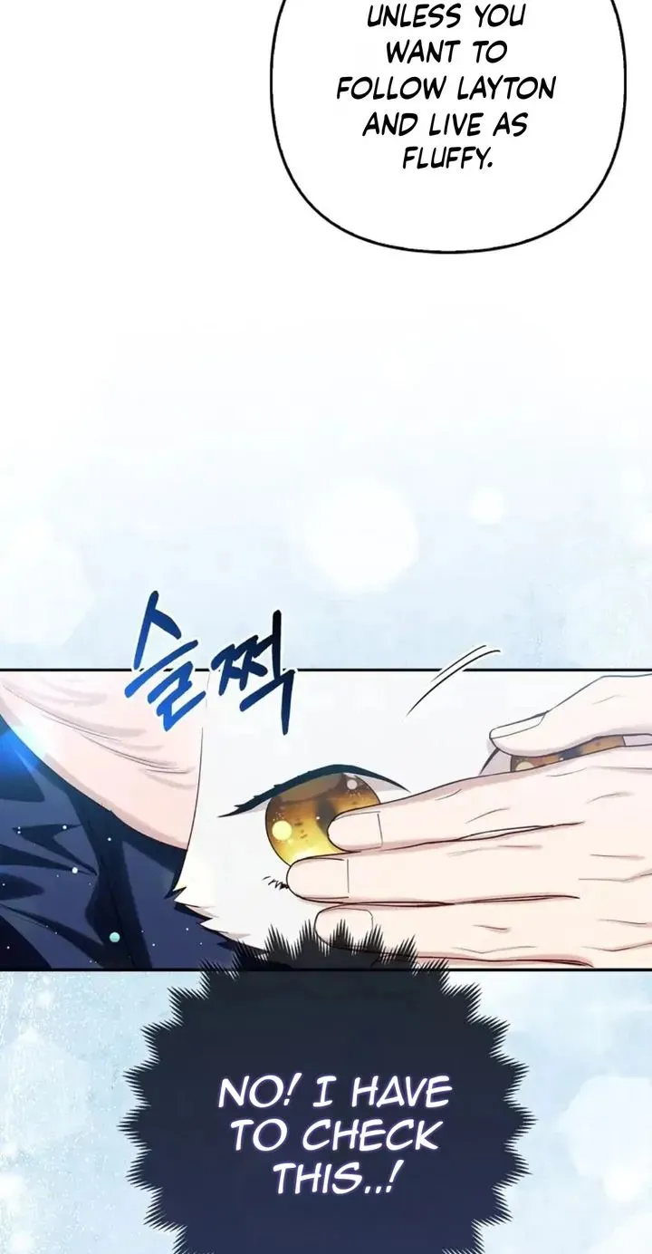 The Grand Duke's Fox Princess Chapter 11 page 41 - 