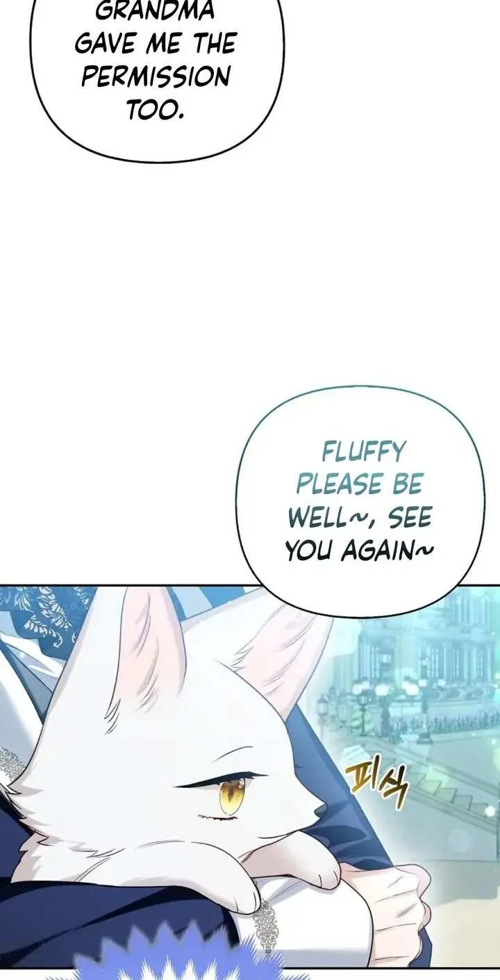 The Grand Duke's Fox Princess Chapter 11 page 47 - 