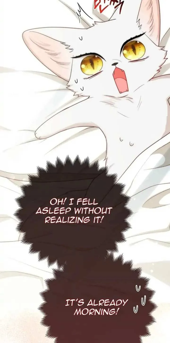 The Grand Duke's Fox Princess Chapter 11 page 6 - 