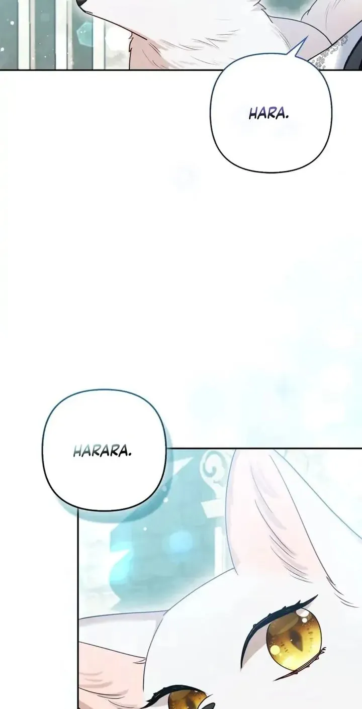 The Grand Duke's Fox Princess Chapter 11 page 59 - 