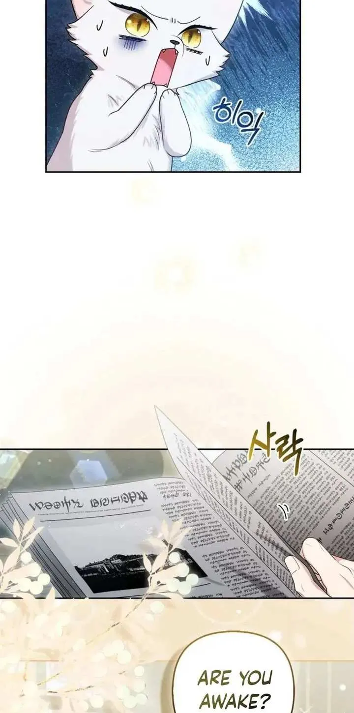 The Grand Duke's Fox Princess Chapter 11 page 10 - 