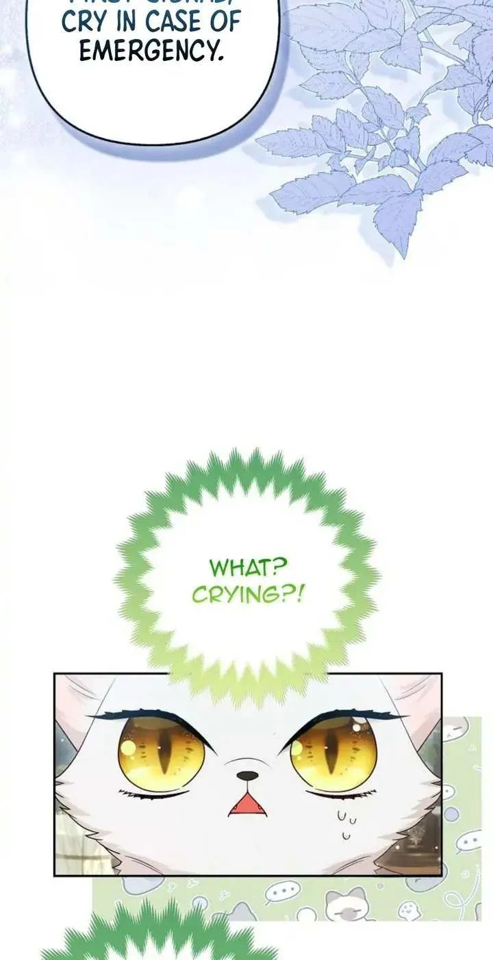 The Grand Duke's Fox Princess Chapter 13 page 16 - 