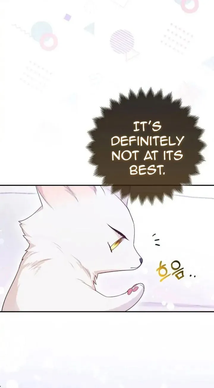 The Grand Duke's Fox Princess Chapter 13 page 64 - 