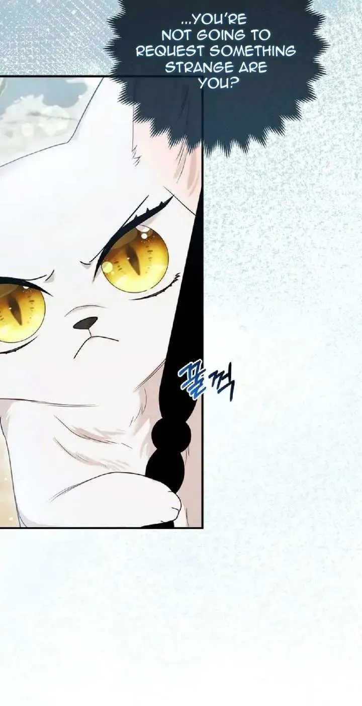 The Grand Duke's Fox Princess Chapter 13 page 9 - 