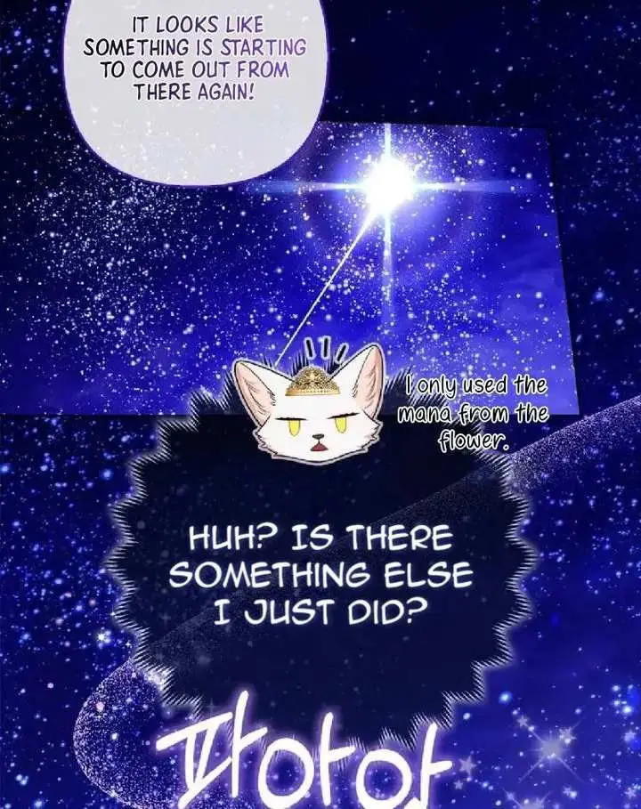 The Grand Duke's Fox Princess Chapter 14 page 64 - 