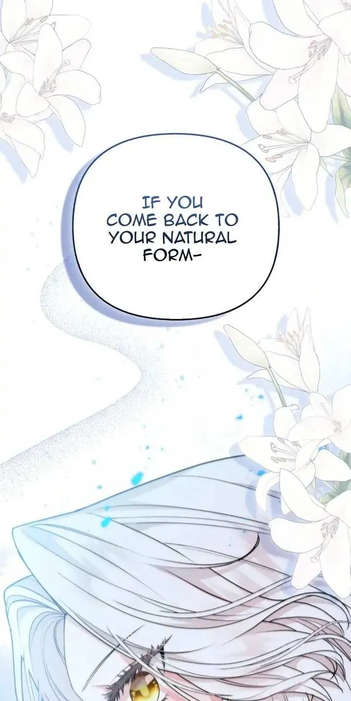 The Grand Duke's Fox Princess Chapter 15 page 46 - 