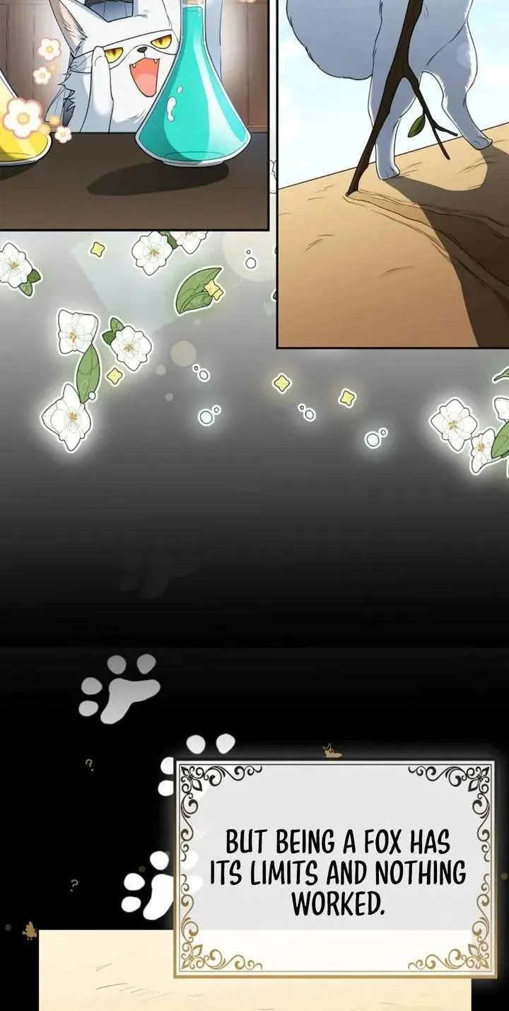 The Grand Duke's Fox Princess Chapter 2 page 50 - 