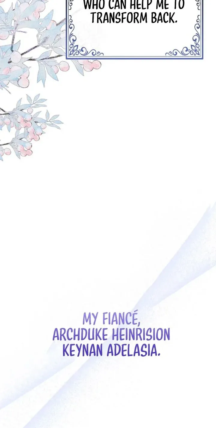 The Grand Duke's Fox Princess Chapter 2 page 64 - 