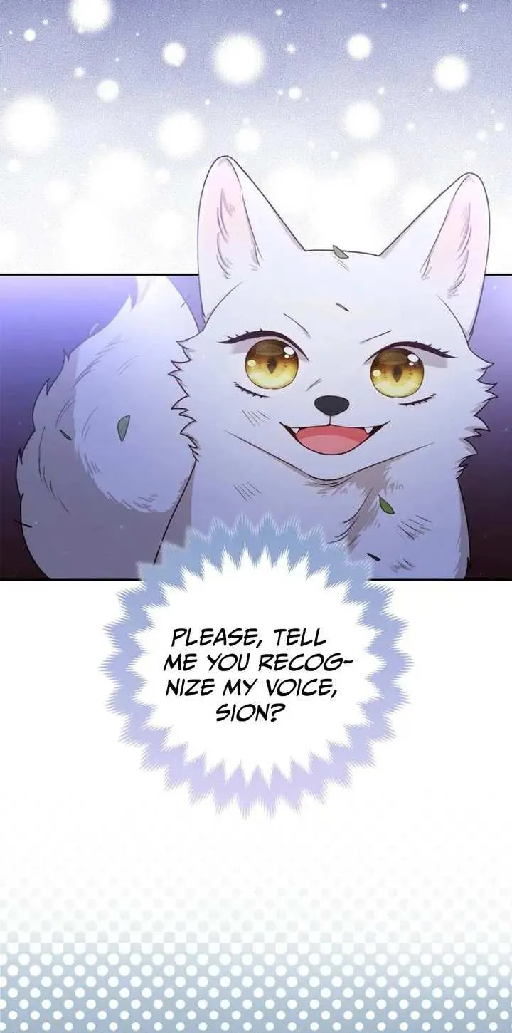 The Grand Duke's Fox Princess Chapter 3 page 17 - 