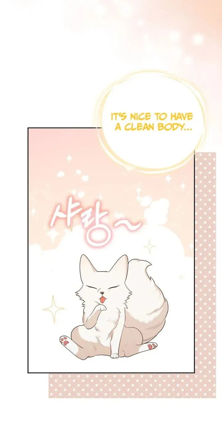 The Grand Duke's Fox Princess Chapter 3 page 63 - 