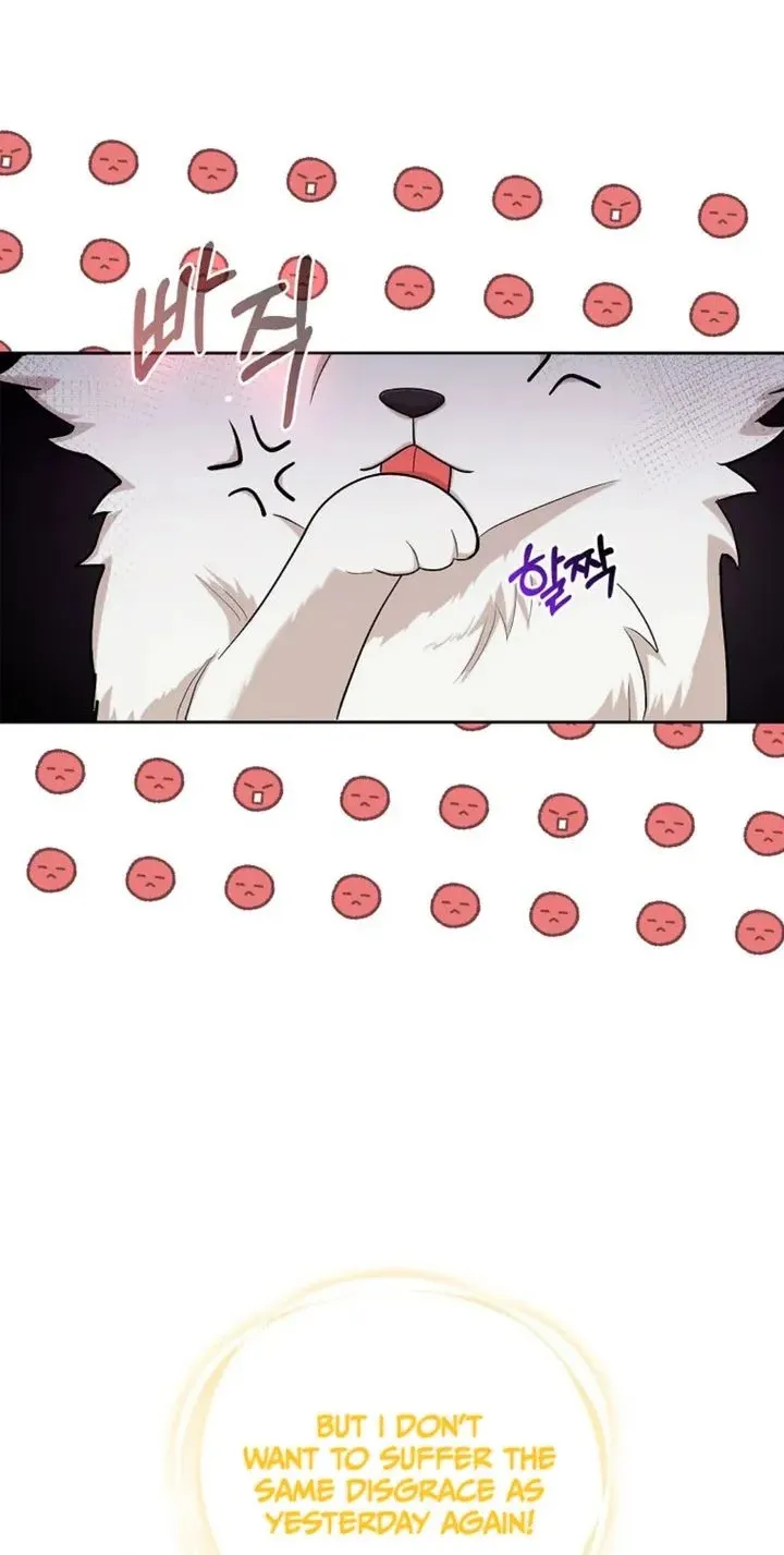 The Grand Duke's Fox Princess Chapter 3 page 64 - 
