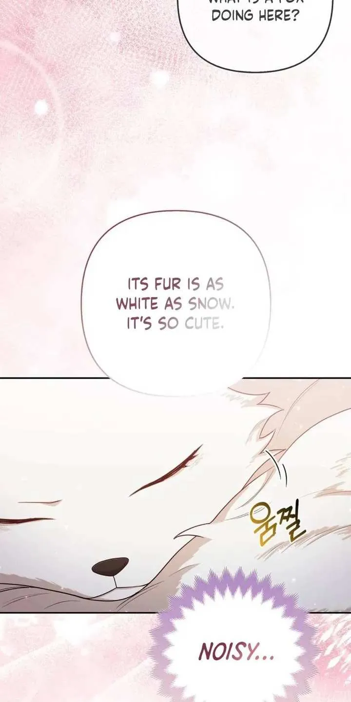 The Grand Duke's Fox Princess Chapter 4 page 11 - 