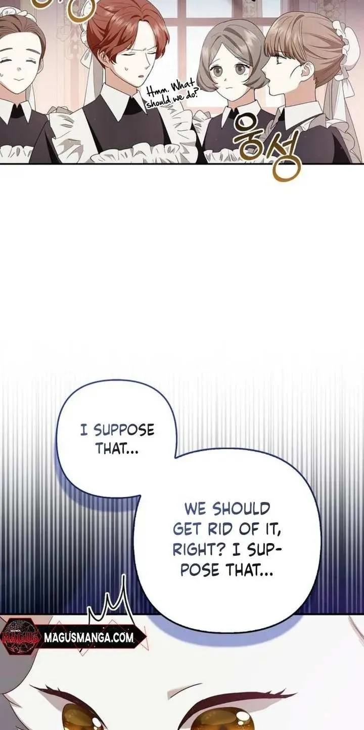 The Grand Duke's Fox Princess Chapter 4 page 19 - 