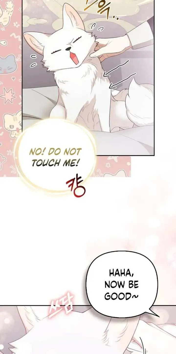 The Grand Duke's Fox Princess Chapter 4 page 35 - 