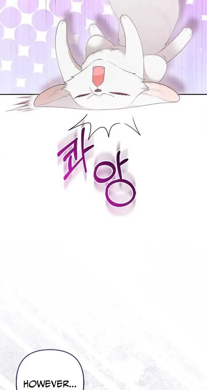 The Grand Duke's Fox Princess Chapter 5 page 15 - 