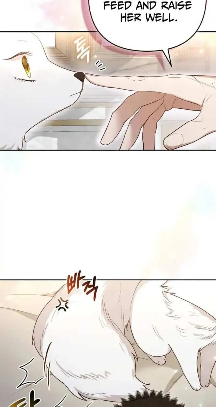 The Grand Duke's Fox Princess Chapter 5 page 8 - 