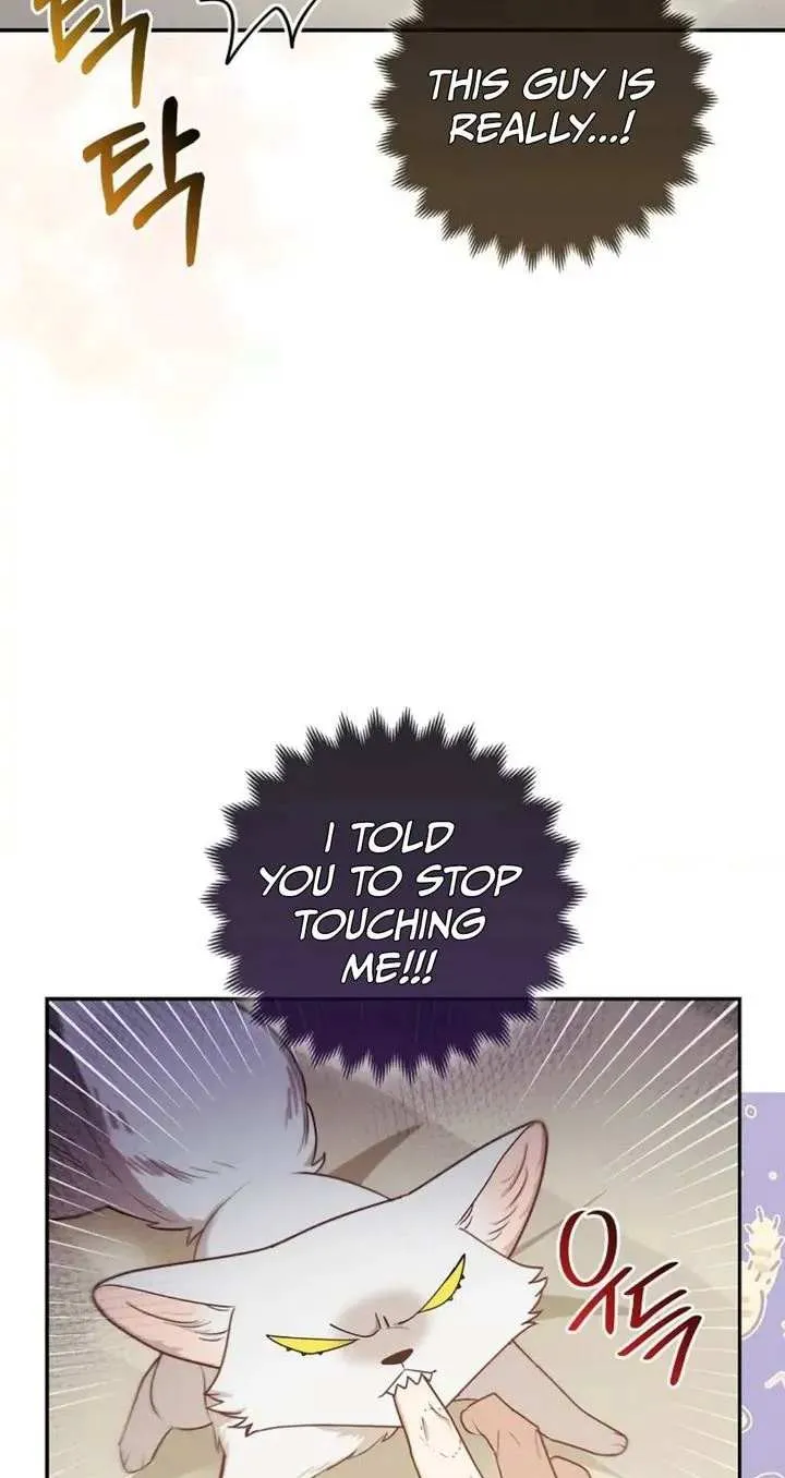 The Grand Duke's Fox Princess Chapter 5 page 9 - 