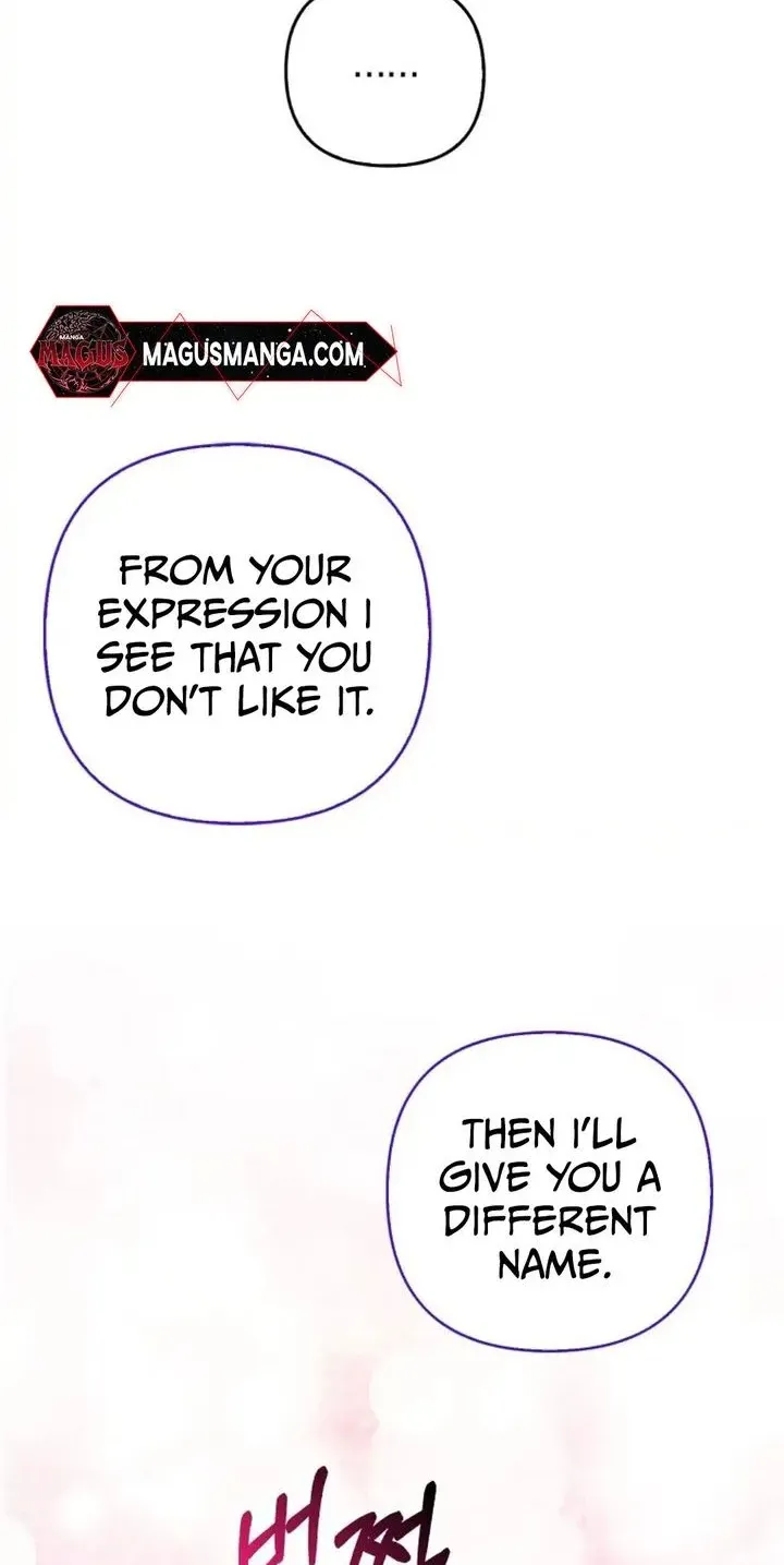 The Grand Duke's Fox Princess Chapter 6 page 11 - 