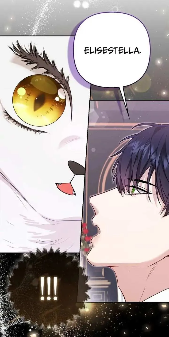 The Grand Duke's Fox Princess Chapter 6 page 13 - 