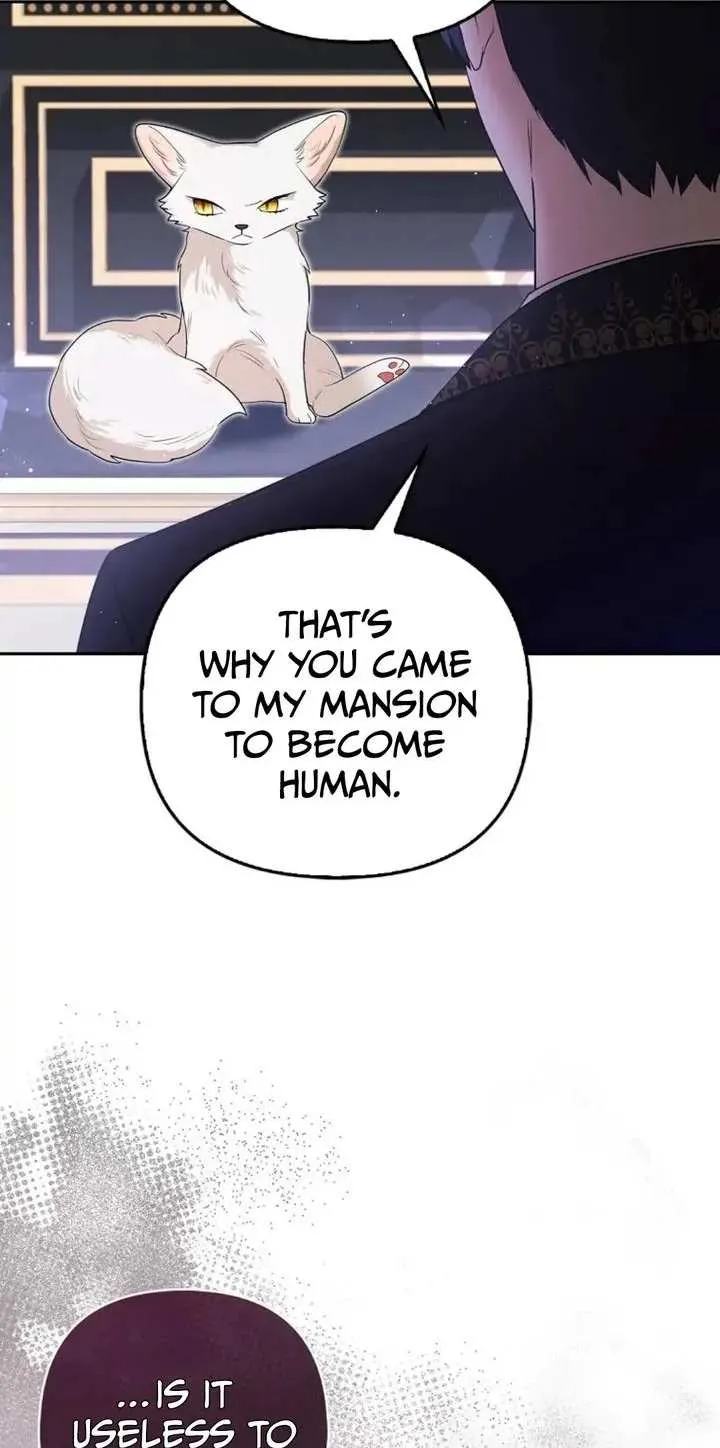 The Grand Duke's Fox Princess Chapter 6 page 36 - 