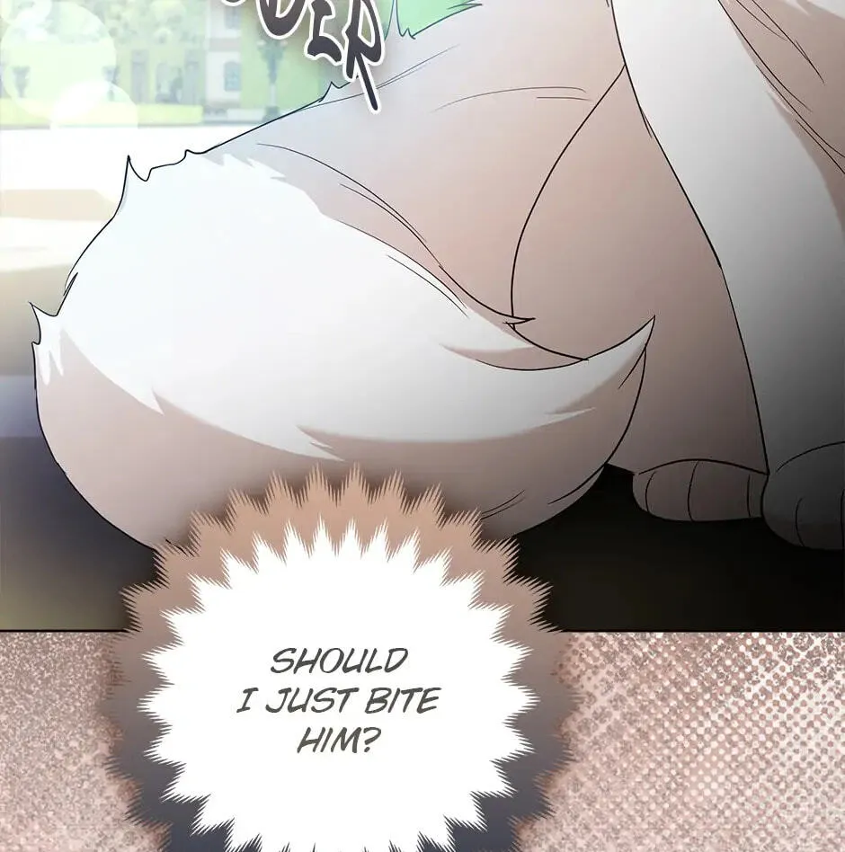 The Grand Duke's Fox Princess Chapter 63 page 88 - 