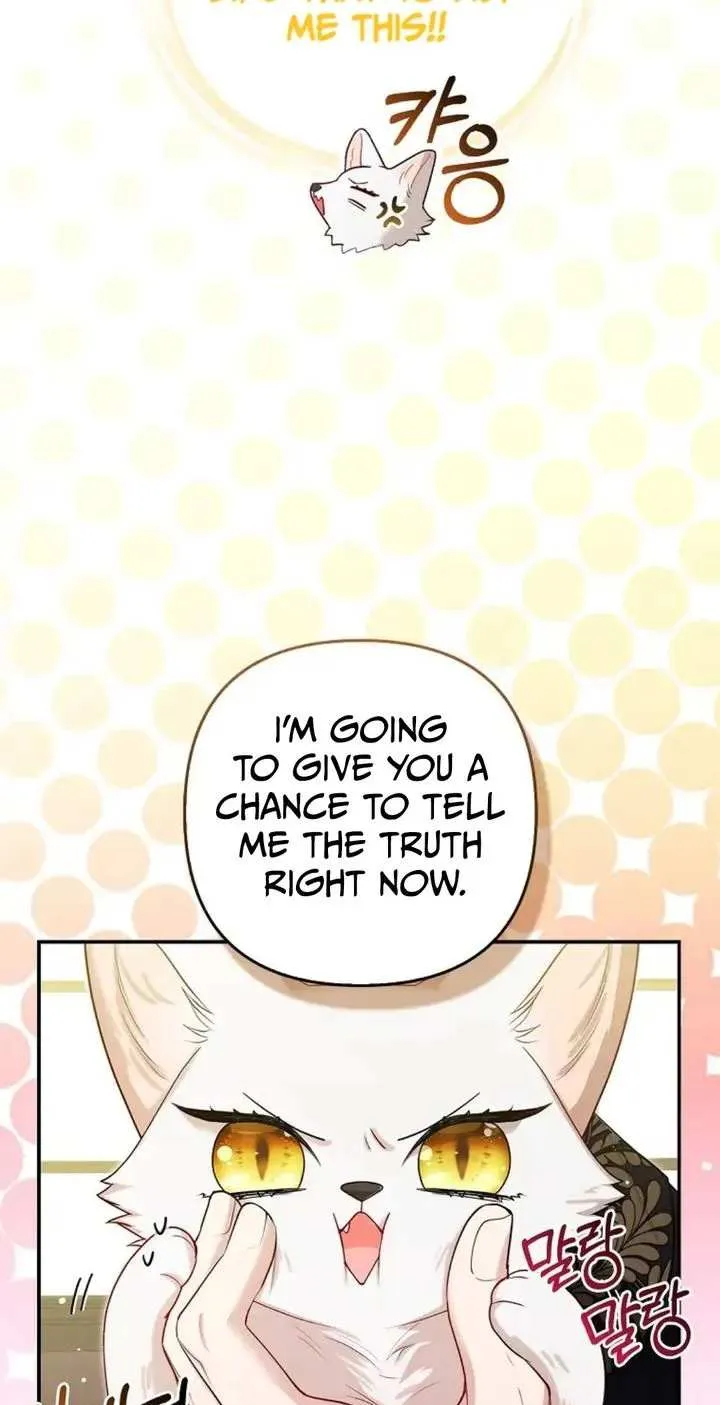 The Grand Duke's Fox Princess Chapter 8 page 17 - 