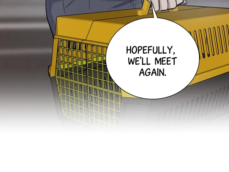 The Guy Upstairs Chapter 18 page 42 - 