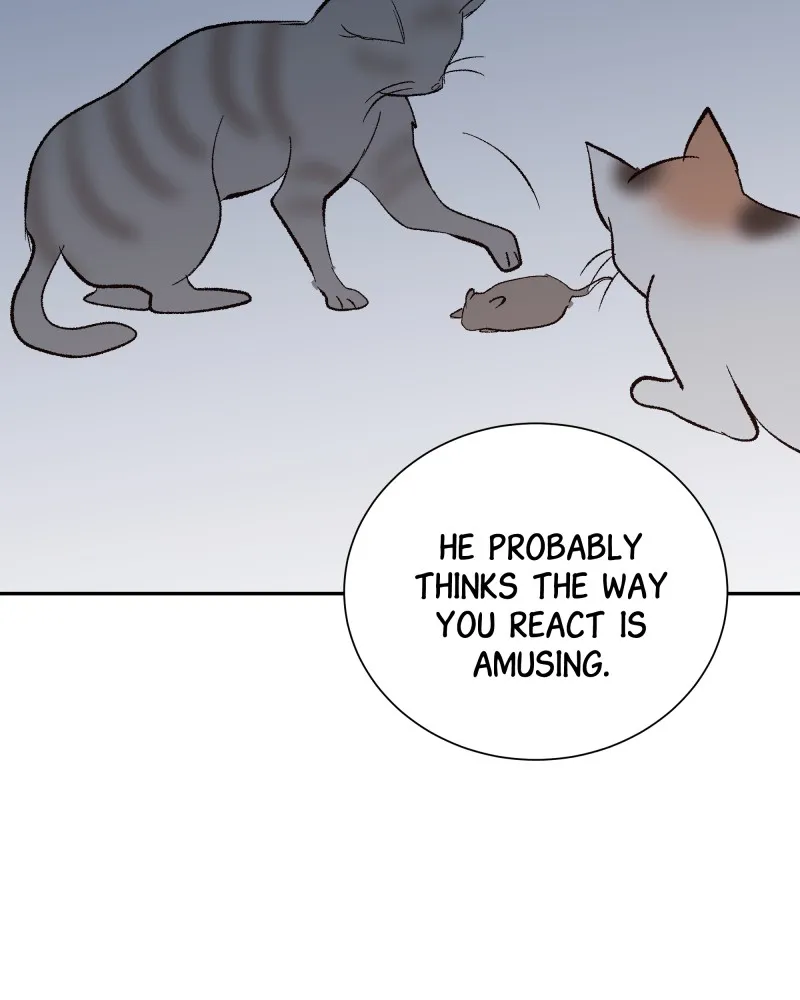 The Guy Upstairs Chapter 19 page 14 - 
