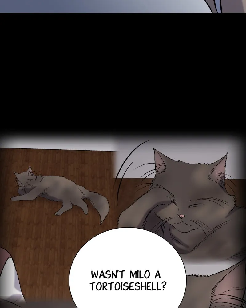 The Guy Upstairs Chapter 26 page 132 - 