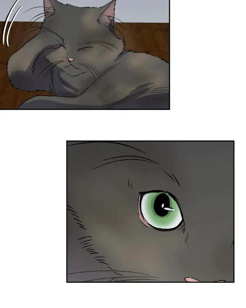 The Guy Upstairs Chapter 5 page 41 - 