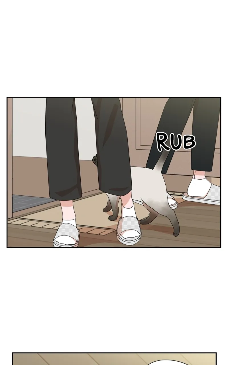 The Guy with Pretty Lips Chapter 5 page 5 - 