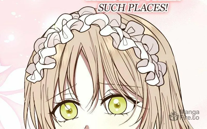 The Handmaiden Dreams at Sunset Chapter 42 page 44 - 