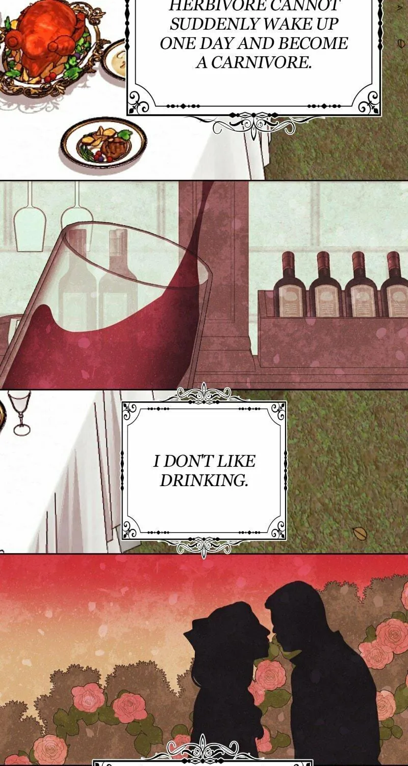 The Handmaiden Dreams at Sunset Chapter 43 page 11 - 