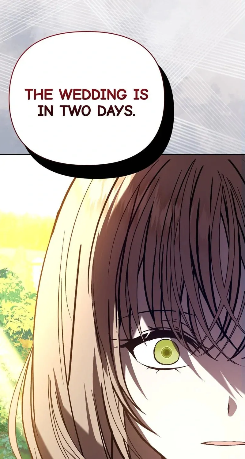 The Handmaiden Dreams at Sunset Chapter 50 page 108 - 