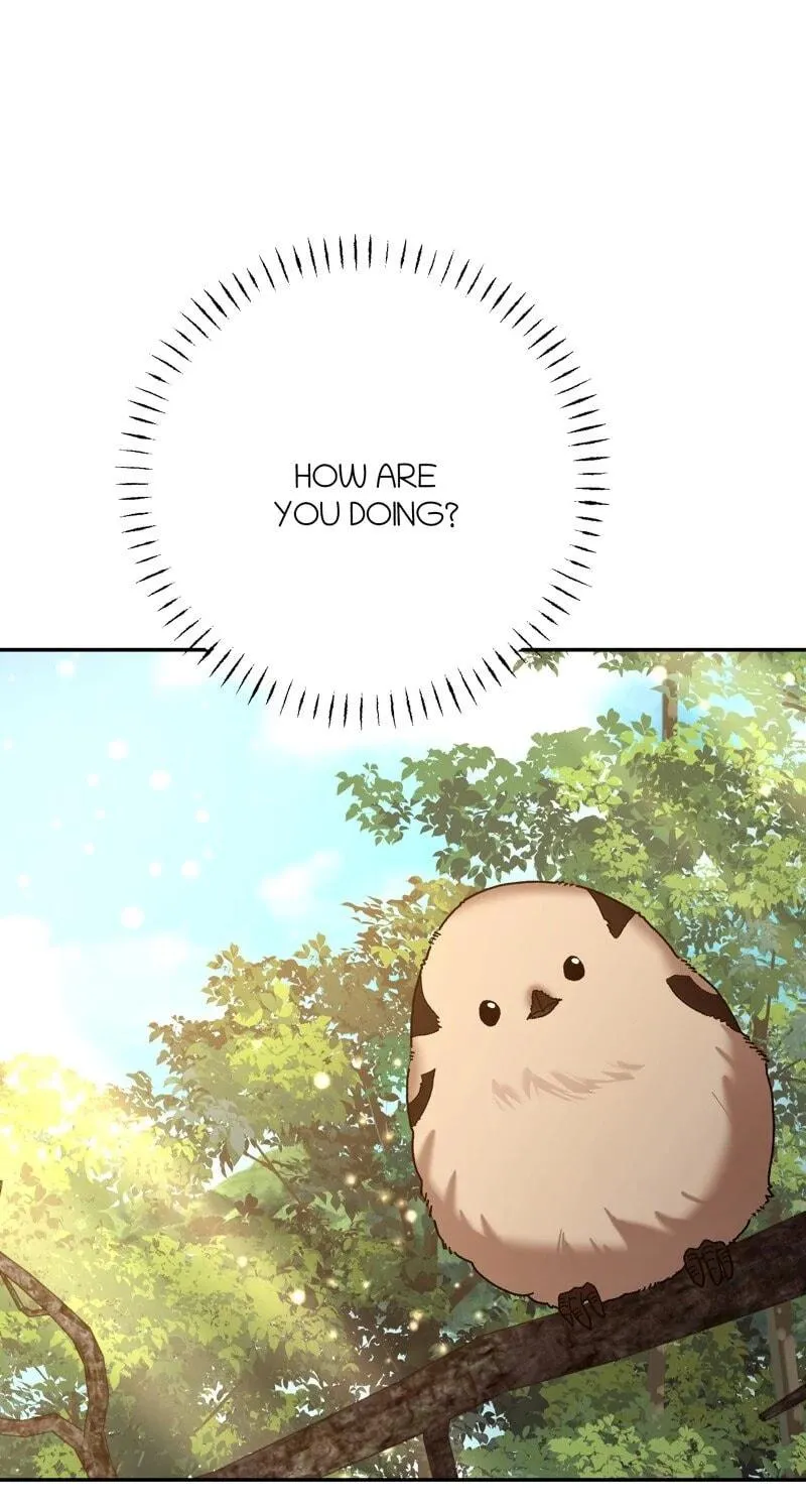 The Handmaiden Dreams at Sunset Chapter 54 page 22 - 