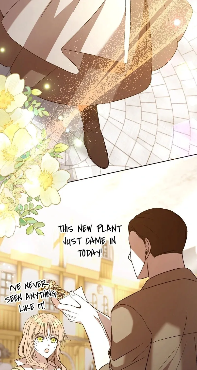 The Handmaiden Dreams at Sunset Chapter 54 page 76 - 